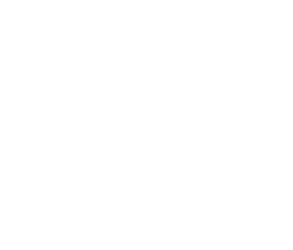 SOBOTKA DESIGN simple logo W